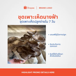 เห็ดนางฟ้าภูฐาน 22 ก้อน พร้อมคู่มือการปลูก
