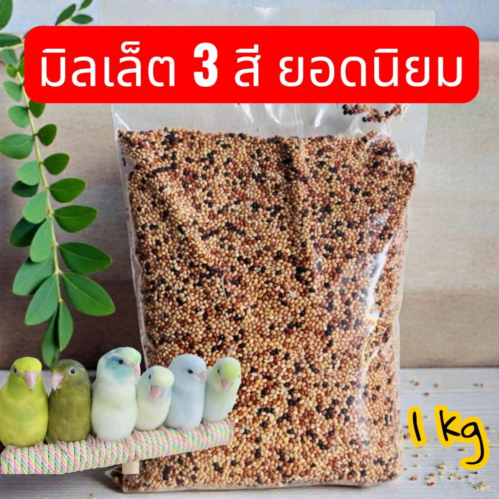 มิลเล็ต 3 สี อาหารนก เขาเล็ก บำรุงขนและสุขภาพ ขนาด 1 กิโลกรัม ส่งด่วนทุกวัน