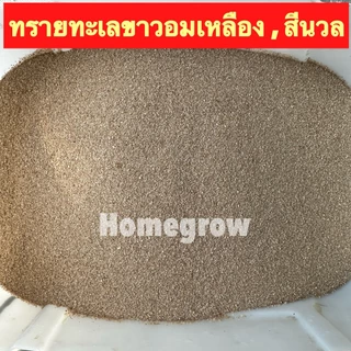 ทรายทะเลขาวอมเหลือง ทรายสีนวล ทรายตู้ปลา รองพื้นตู้ พร้อมส่ง ตู้ปลา ตกแต่งตุ้ปลา ทรายตู้ปลา