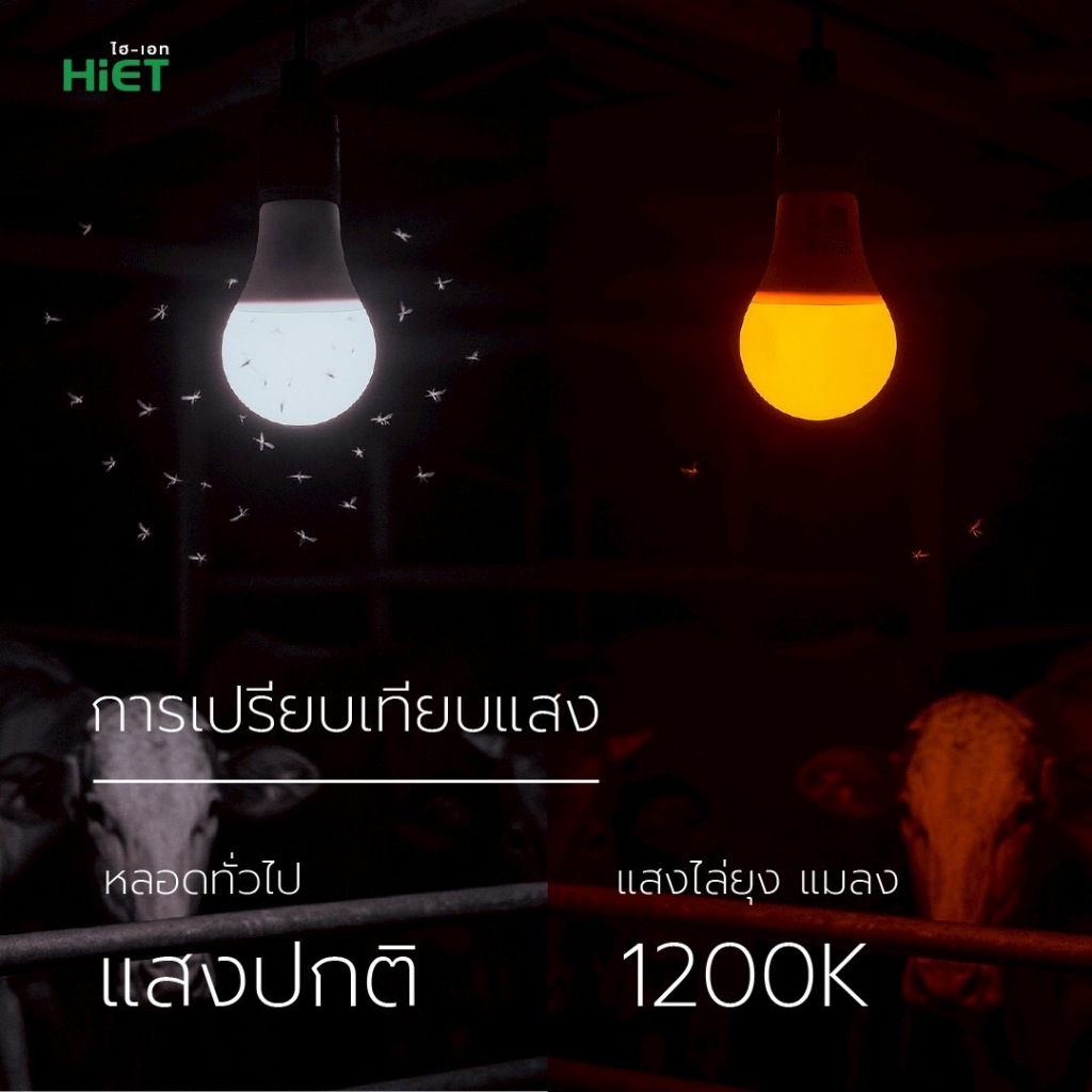 HIET หลอดไฟ ไล่ยุง ไล่แมลง แสงเหลืองเข้ม LED 15W 30W ขั้วเกลียว E27 - รูปที่ 6