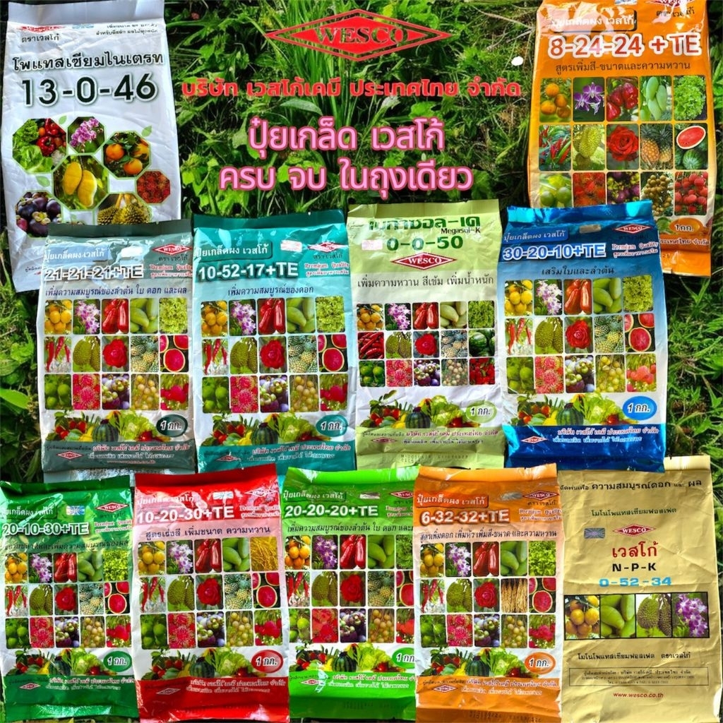 ปุ๋ยเกล็ดเวสโก้ ขนาด 1กิโลกรัม ฮอร์โมนพืช เสริมการเจริญเติบโตของพืช