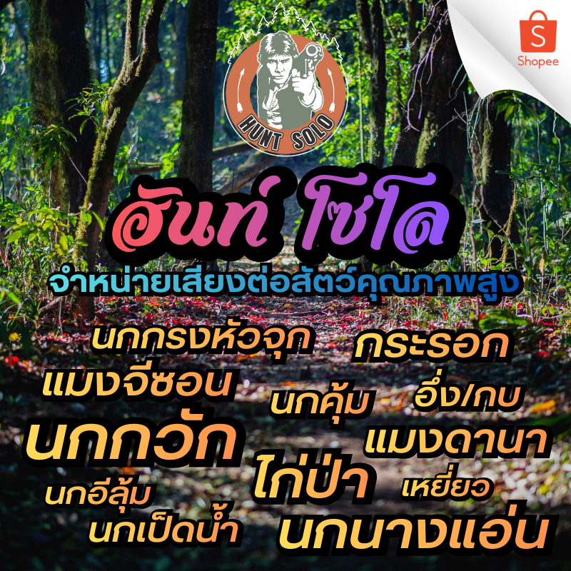 [10ชั่วโมง] เสียงเรียกนกนางแอ่นทำรังV.1 แฟลชไดร์ฟ ชัดใส ไม่มีโฆษณาแทรก พร้อมส่ง! มีเก็บเงินปลายทาง!! - รูปที่ 3