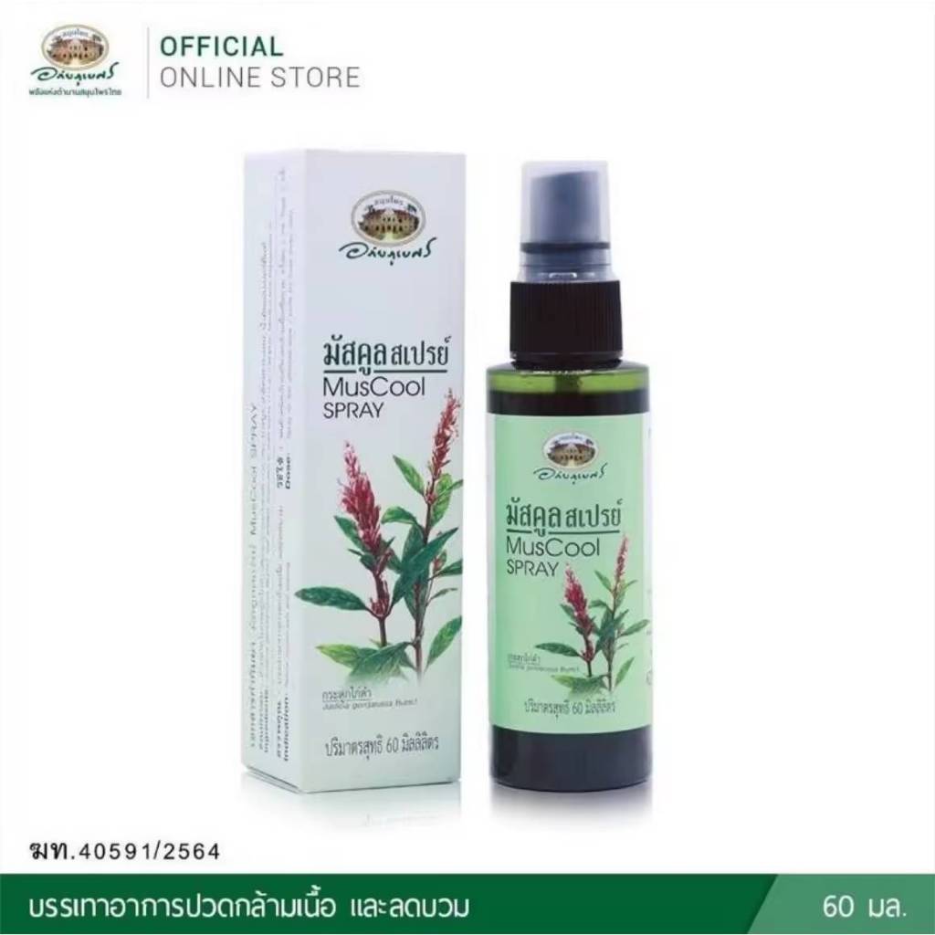 มัสคูล สเปรย์ MusCool Spray ขนาด 60 มล. สารสกัดใบกระดูกไก่ดำ ฉีดพ่นบริเวณที่มีอาการปวดกล้ามเนื้อ