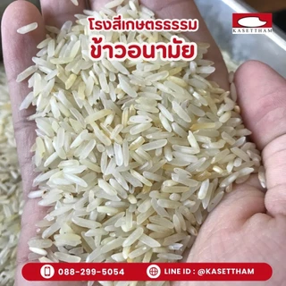 19 กก. ข้าวอนามัย ข้าวติดเหลือง ข้าวสารตรารถบรรทุก ราคาโรงสี ส่งฟรี สั่ง 3 ถุงคุ้มค่าส่ง