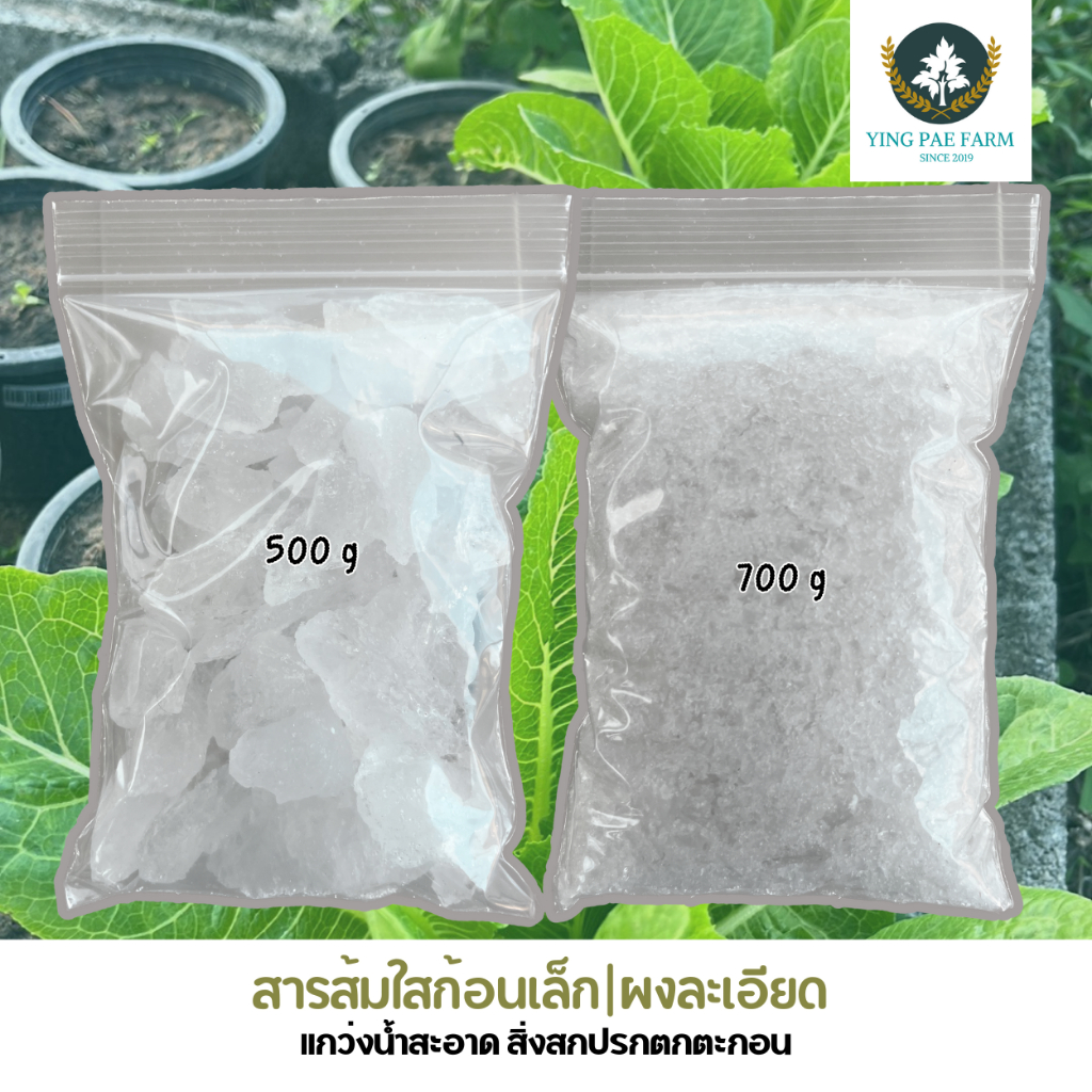 สารส้มก้อนเล็ก ค่อนข้างละเอียด สารส้มใส แกว่งน้ำสะอาด ขนาดบรรจุ 500-700 กรัม มาตรฐาน มอก.