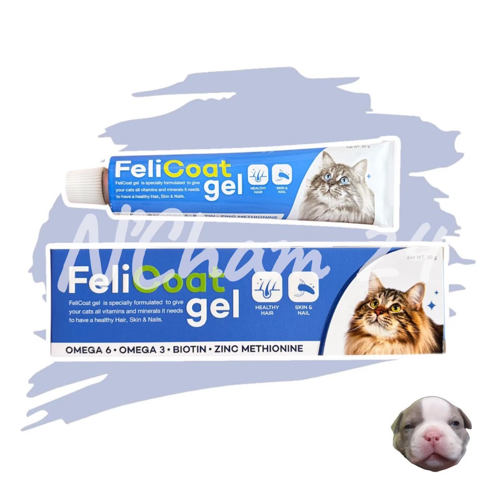 FeliCoat gel 50g เจลอาหารเสริมบำรุงขนและผิวหนังแมว