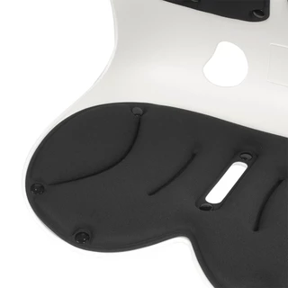 HOME LIVING STYLE เบาะรองหลัง ERGONO 17x13.5 นิ้ว สีดำ จัดส่งโดย HomePro