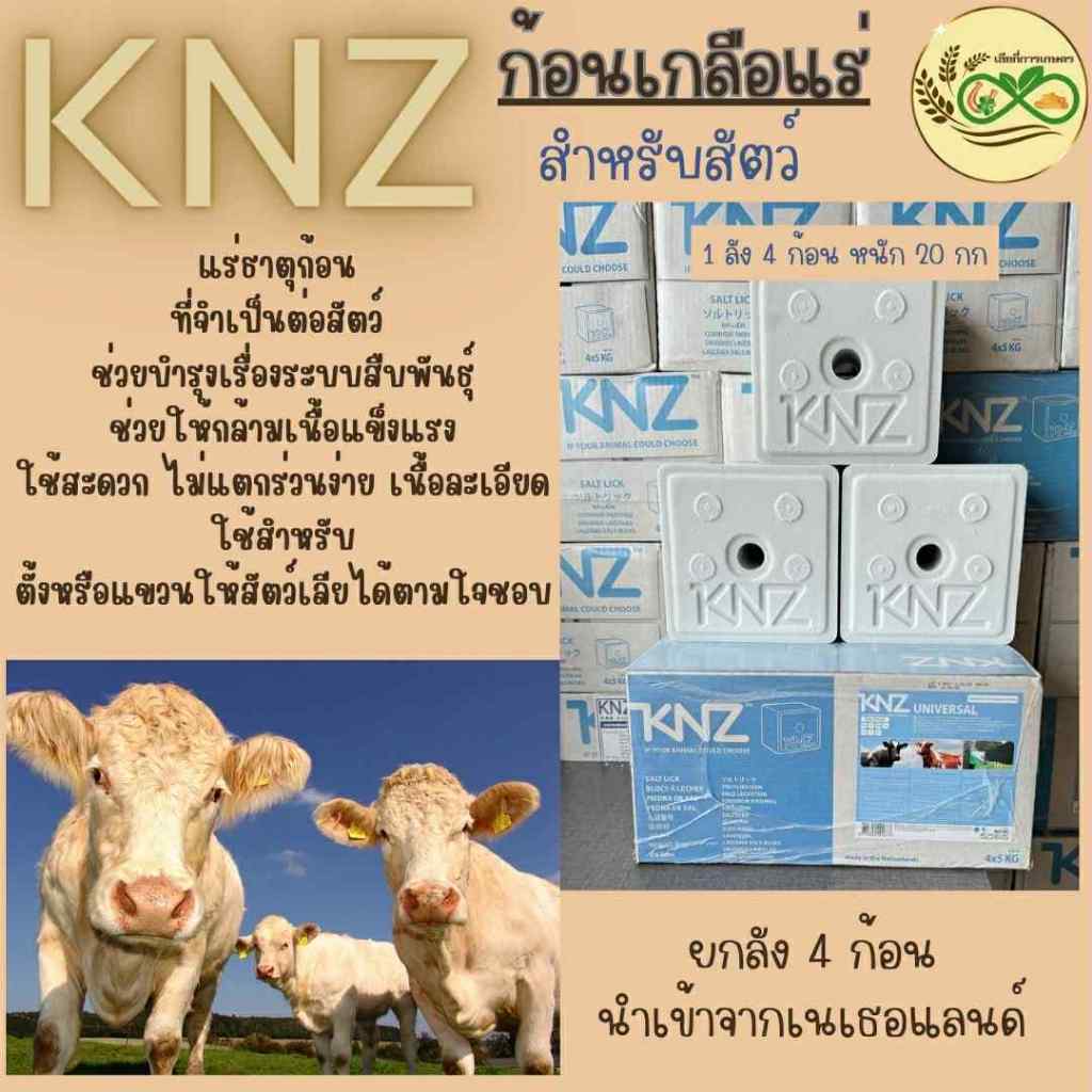 KNZ เกลือแร่นอกสำหรับสัตว์ นำเข้าจากเนเธอร์แลนด์ ขนาด 1 ลัง (4ก้อน)