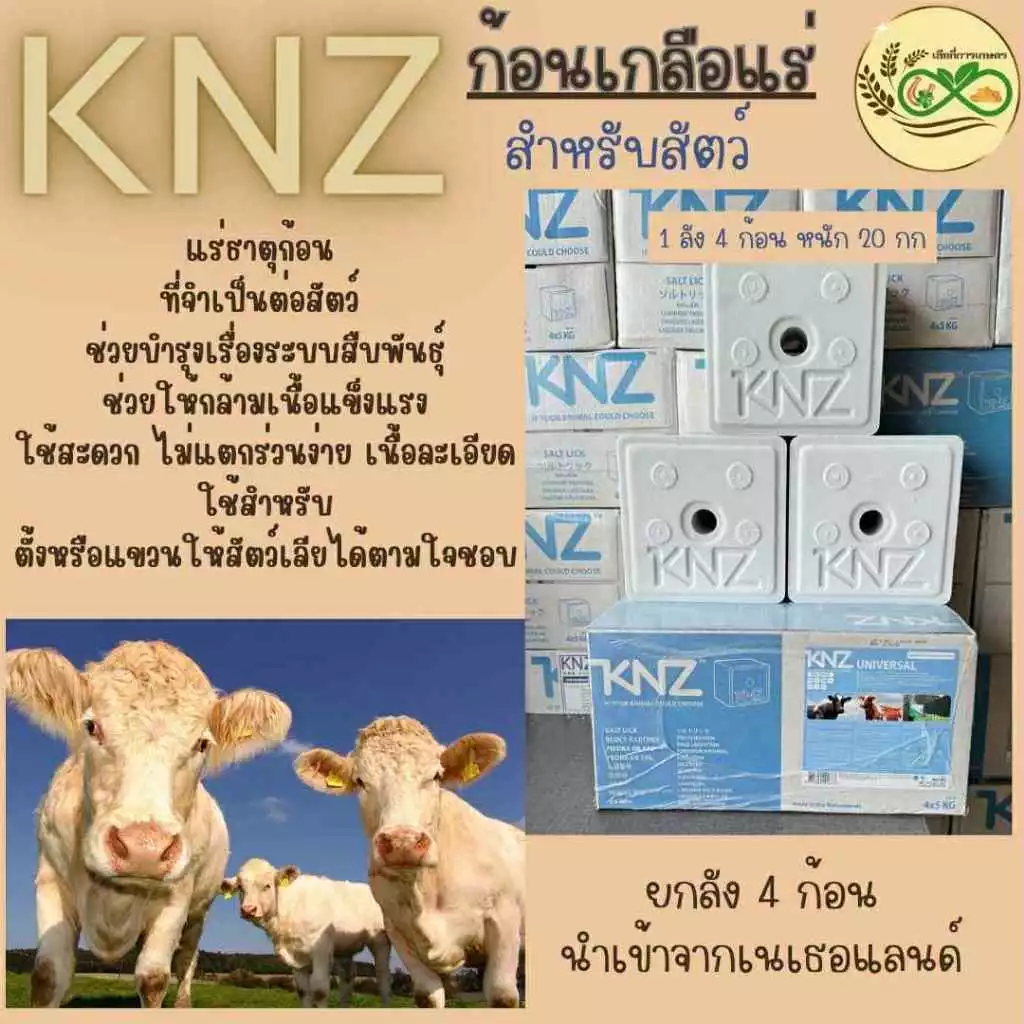KNZ เกลือแร่นอกสำหรับสัตว์ นำเข้าจากเนเธอร์แลนด์ ขนาด 1 ลัง (4ก้อน)