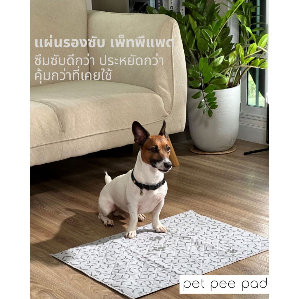 แผ่นรองซับสัตว์เลี้ยงแบบซักได้ PetPeePad เพ็ทพีแพด แผ่นปูรองกรง ปูรองถาดอาหาร ฝึกขับถ่ายกันซึม ไซส์L