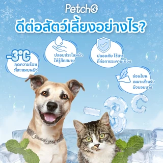 Petcho ทิชชู่เปียก ทิชชู่เปียกสูตรเย็นสำหรับสัตว์เลี้ยง แผ่นหนา คลายร้อน ลดอุณหภูมิผิว Pet Cool Wipes