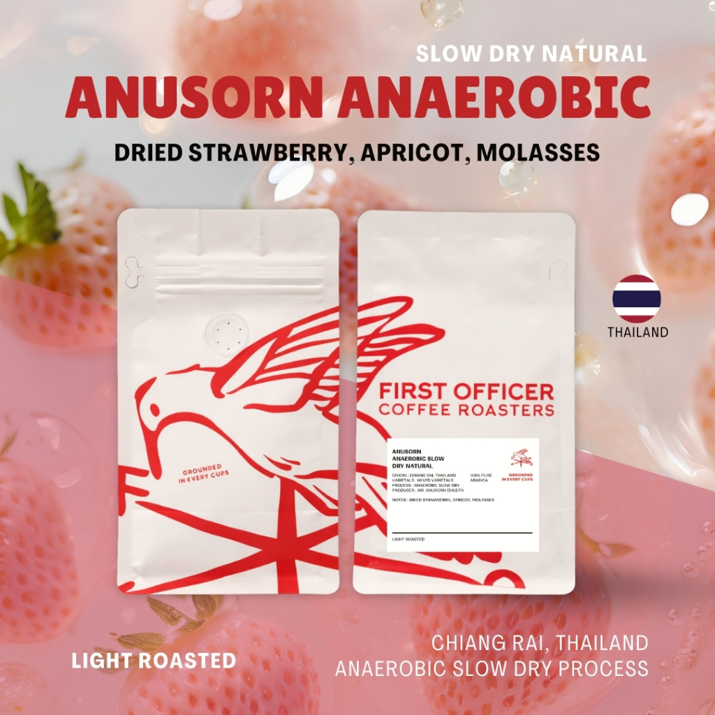 FIRST OFFICER | เมล็ดกาแฟ (คั่วอ่อน) ANUSORN ASD Natural  [Glocal Selection]