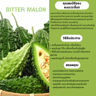 ผงมะระขี้นก 100% (Bitter Melon Powder) ขนาด 100 กรัม