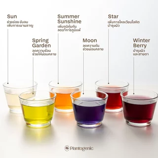 Plantogenic - Moon Herbal Tea ชาคาโมไมล์ อัญชัน และสมุนไพร ไม่มีคาเฟอีน ไม่มีน้ำตาล (Plant-Based)