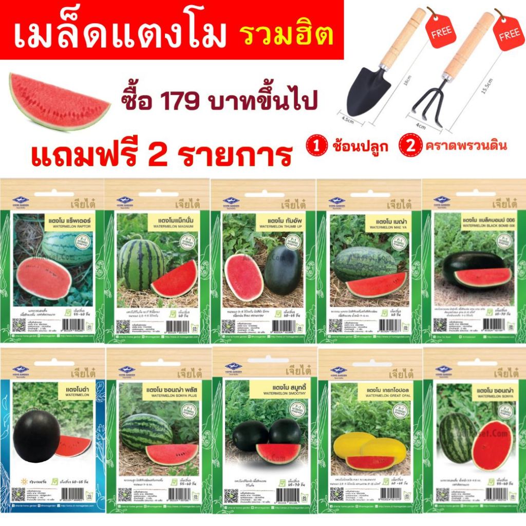 เมล็ดแตงโม รวมทุกยี่ห้อ เริ่ม 8 บาท ซื้อ 179 บาทขึ้นไป แถมฟรี ช้อนปลูก และคราดพรวนดิน