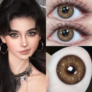 ✨【ซื้อ2คู่แถม ลิปสติก+ตลับ🐱】Midroo [COD] เลนส์สายฝอ เลนส์แฟชั่นสีชัด OMG&DNA&Apex-Brown/Grey-14.0 รายเดือน