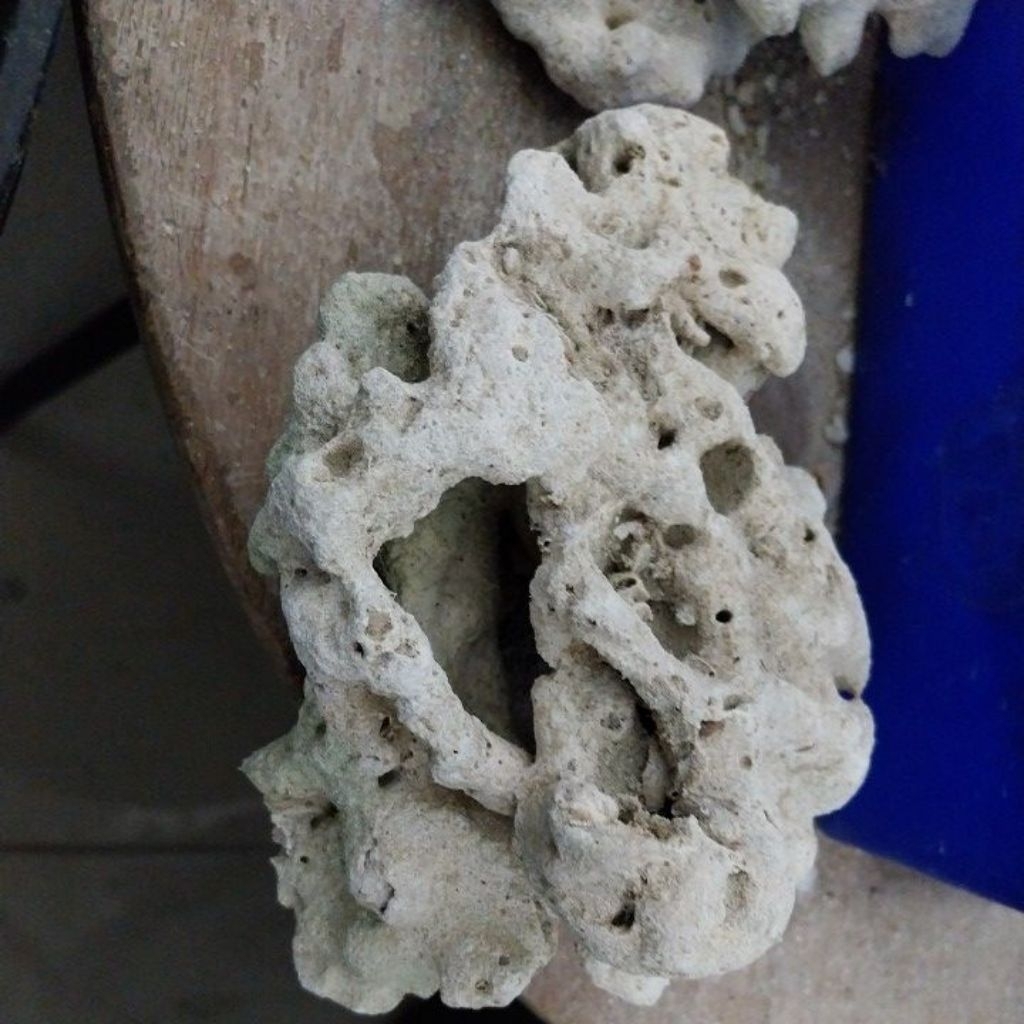 หินตาย.หินบ่อกรอง No.5