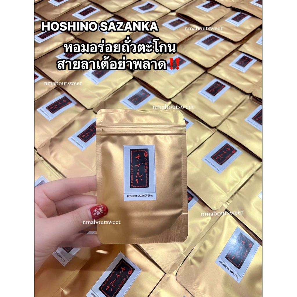 Hoshino sazanka 20G. Yame🍃matchaโทนถั่วของแท้ราคาดีที่สุด‼️
