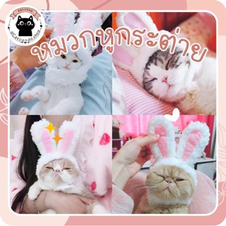 🌵 หมวกกระต่าย หมวกหูกระต่ายสุดคิ้วท์ สำหรับน้องหมา & น้องแมว…