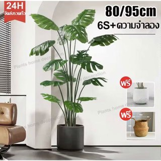 ต้นไม้มงคล ต้นไม้ปลอมใหญ่ 70/80CM18ใบ/15ใบ เขียวชอุ่มตลอดปี …