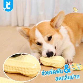 [ส่งฟรี🇹🇭] CleverPet ของเล่นสุนัข ถั่วลิสง บีบมีเสียง หอมกลิ่นนม ลูกบอลหมา Milky Peanut Dog Toy