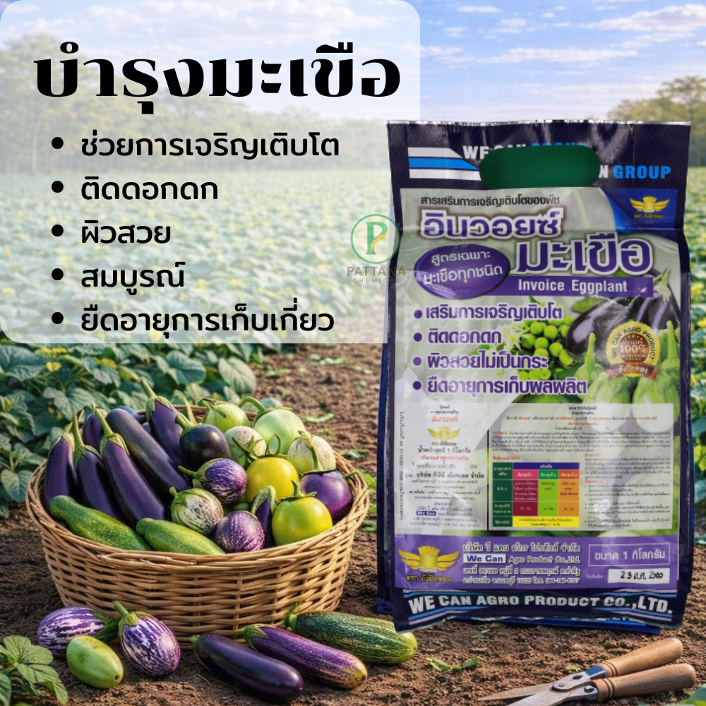 อินวอยซ์ พลัส สูตรเฉพาะมะเขือ(ฮอร์โมนบำรุง) 1.kg / 400g.ช่วยการเจริญเติบโต ฝักสวย ติดตอกดก ผลผลิตสวย สีสันดี พร้อมส่ง!!!