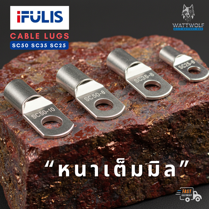 IFULIS หางปลากลม รุ่นหนาพิเศษ ทองแดงแท้ ชุบดีบุก ทนกระแสสูง SC50-10 SC50-8 SC35-8 SC25-8 แน่นไม่หลุด