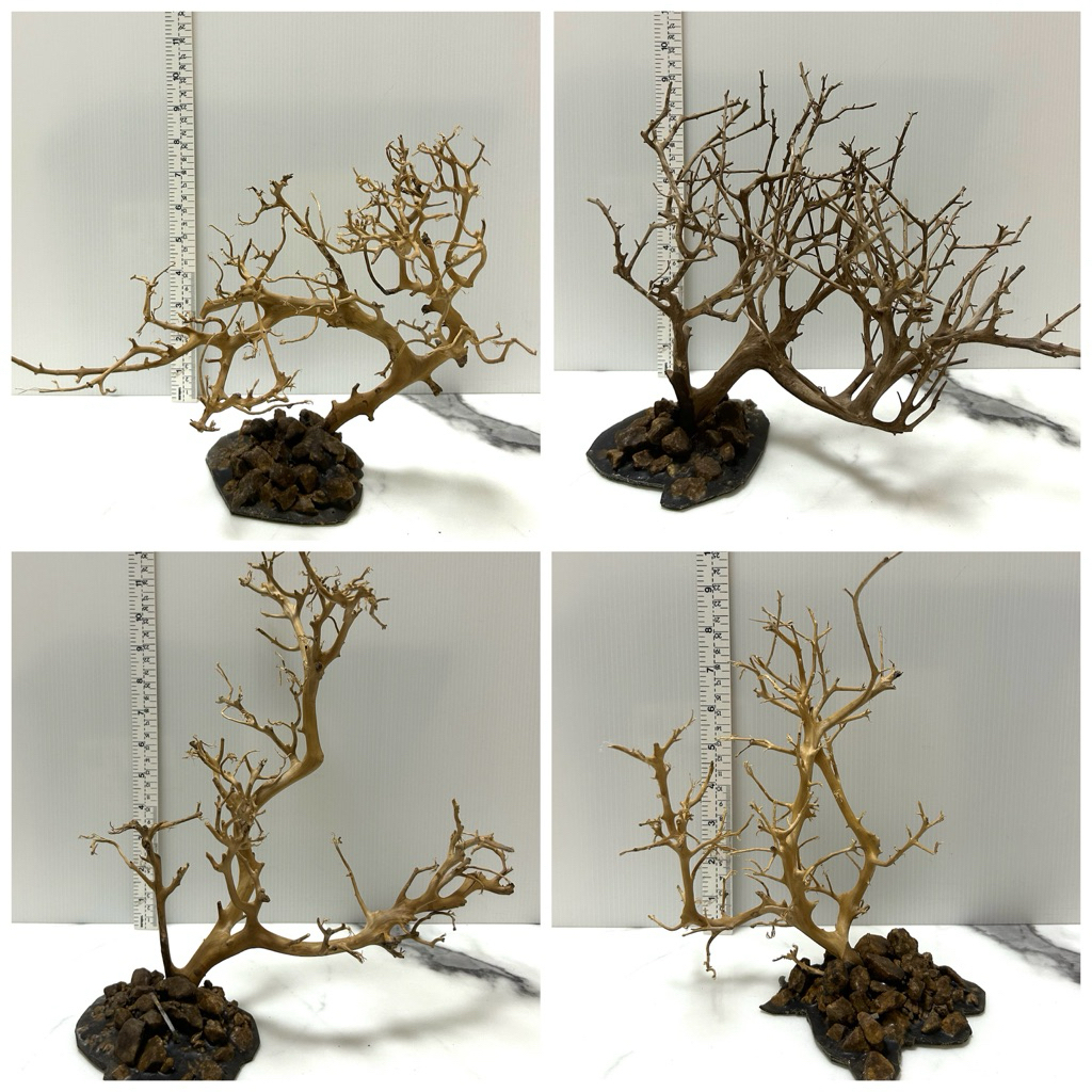 ไม้แต่งตู้ปลา จมน้ำ ติดฐานหิน  natural root, driftwood for fish tank