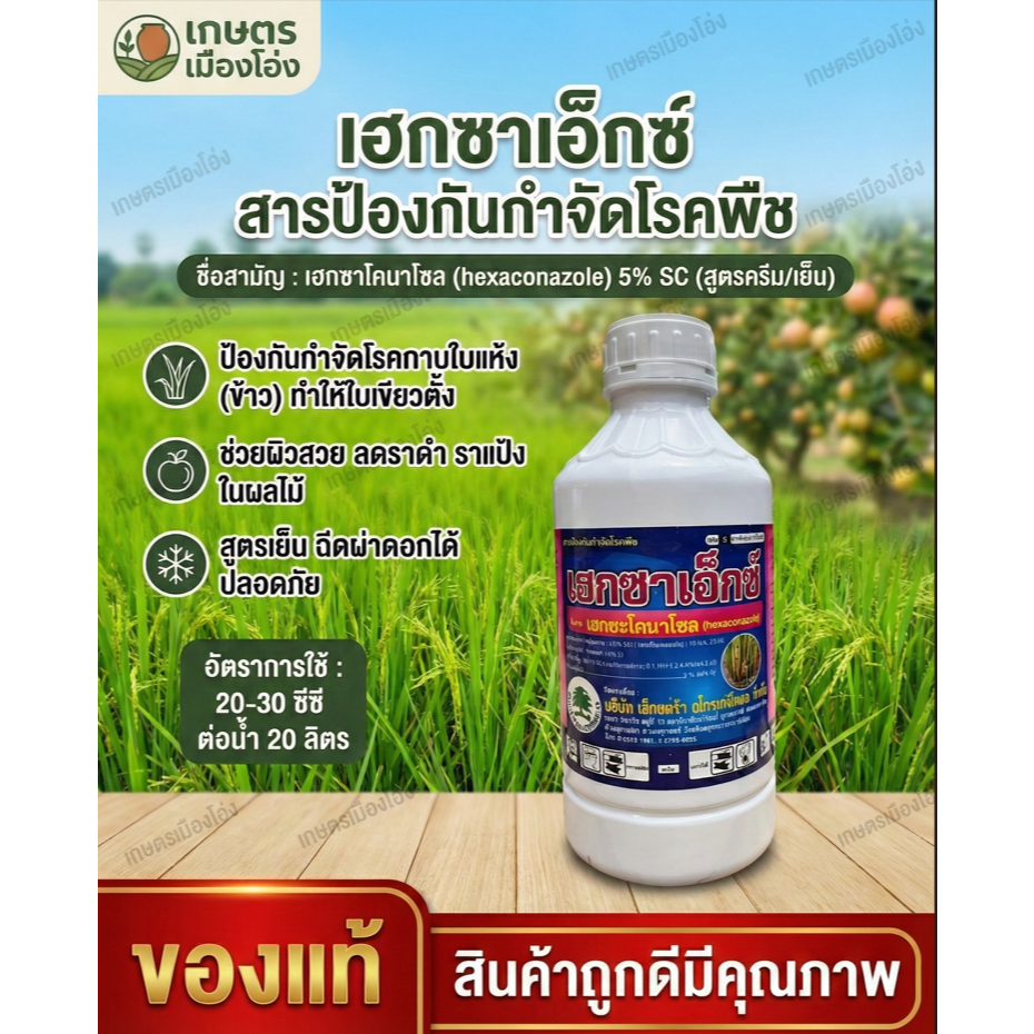 เฮกซะโคนาโซลเอ็กซ์ตร้า1ลิตร ฤทธิ์ดูดซึมและแทรกซึมเข้าสู่พืชได้เร็วยับยั้งการเจริญเติบโตของเชื้อรา ️ป้องกันและกำจัดโรคพืช