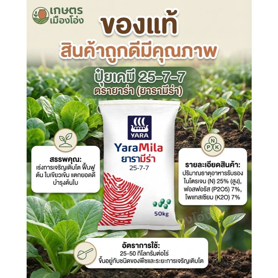25-7-7 ยาร่า ยกกระสอบ50กก ร่งการเจริญเติบโตโดยรวมของพืช ในช่วงแรก ทำให้ต้นโตไว ลำต้นแข็งแรง แตกใบดี ใบเขียวเข้ม