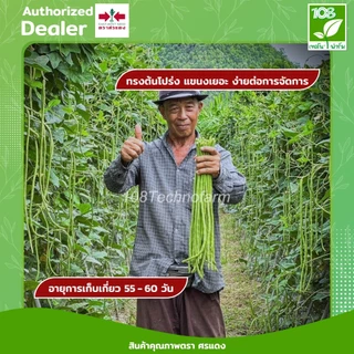 เมล็ดถั่วฝักยาวลำน้ำชีพลัส ตราศรแดง ขนาด 100 / 500 กรัม