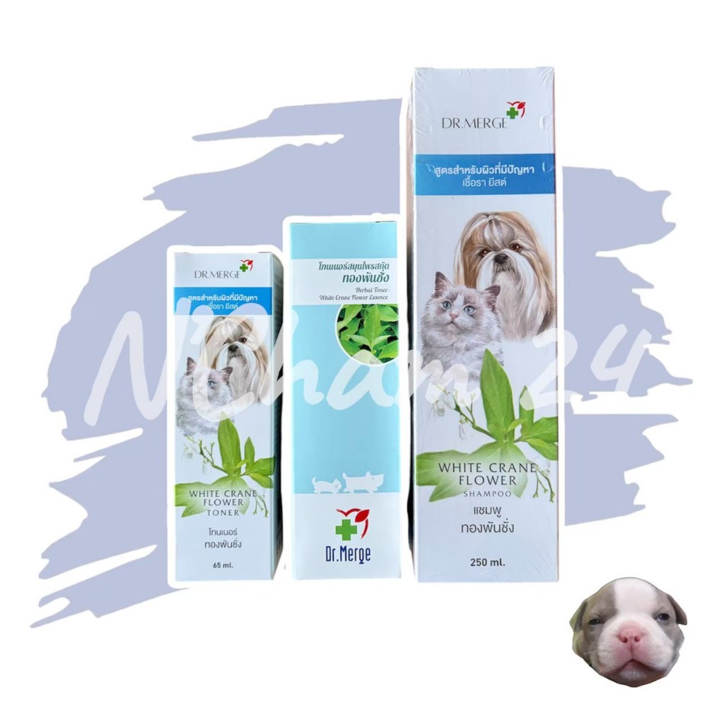 Dr.Merge shampoo & toner แชมพู และสเปรย์ ทองพันชั่ง สมุนไพร กำจัดเชื้อรา ยีสต์ แบคทีเรีย สุนัข-แมว