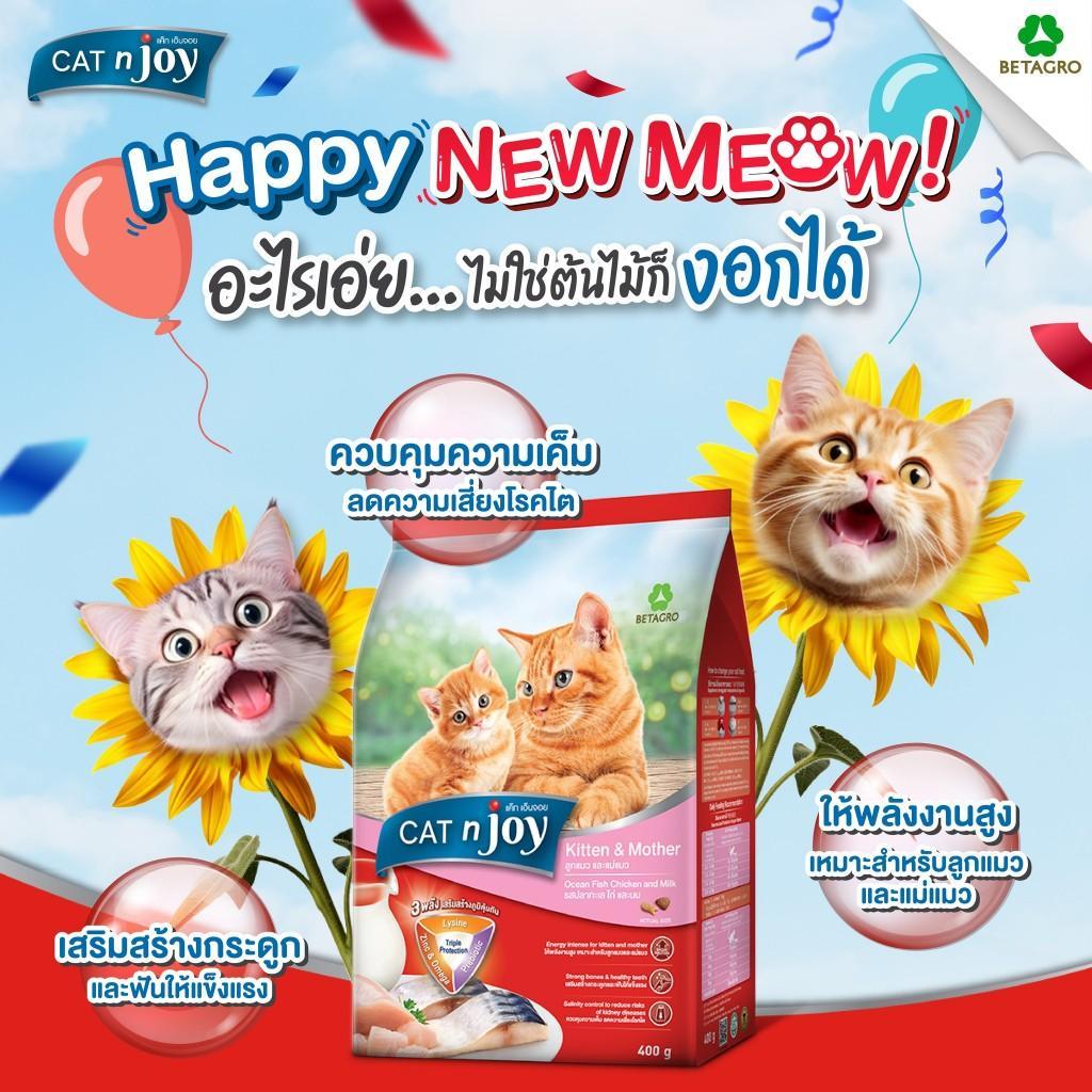 (กระสอบ) Cat n joy อาหารเม็ดแมวแคทเอ็นจอย 7kg Triple Protection ขนาด 7 กิโลกรัม fs - รูปที่ 2