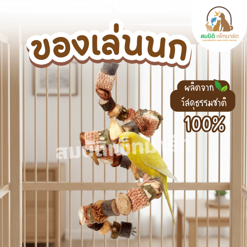 ของเล่นนกธรรมชาติ แบบเกลียว เมล็ดพืชรวม ของเล่นลับปากนก แทะเพลิน ลดเครียด สำหรับนกแก้ว นกหงส์หยก นกฟอพัส