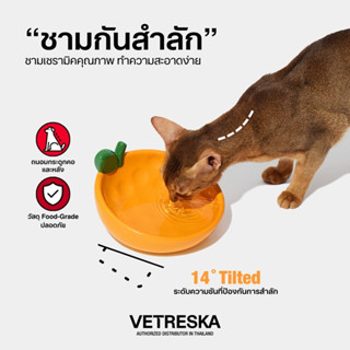 VETRESKA ชามอาหาร สำหรับสัตว์เลี้ยง Tangerine Ceramic Pet Bo…