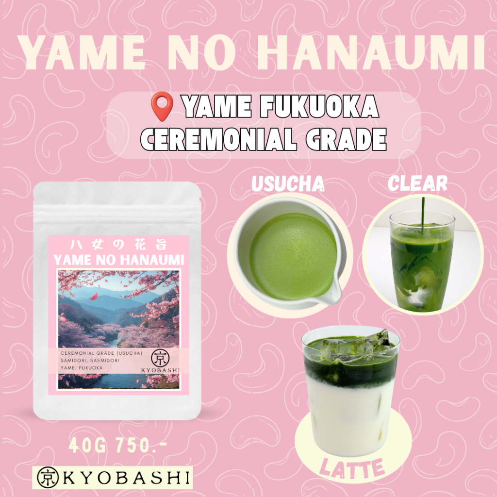 Kyobashi มัทฉะ Yame no Hanaumi Yame Matcha Ceremonial Grade Usucha 40g มัทฉะยะเมะแท้ ชงใส หอมโทนนัตตี้และดอกไม้