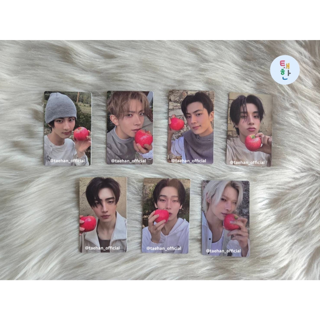 ✅พร้อมส่ง [ENHYPEN] เฉพาะการ์ดของ อัลบั้ม THE SIN : VANISH (Weverse Shop (ShowCase Live))