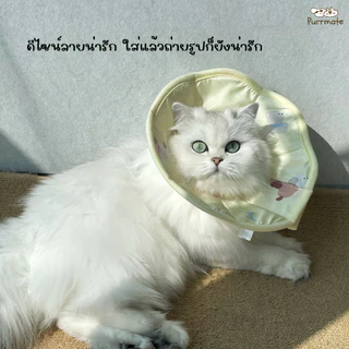ปลอกคอกันเลียสัตว์เลี้ยงลายน่ารัก คอลล่าร์ รุ่นผ้านิ่ม (Collar) ปลอกคอแมว/หมา ป้องกันเลียแผล หลังผ่าตัด ฉีดวัคซีน
