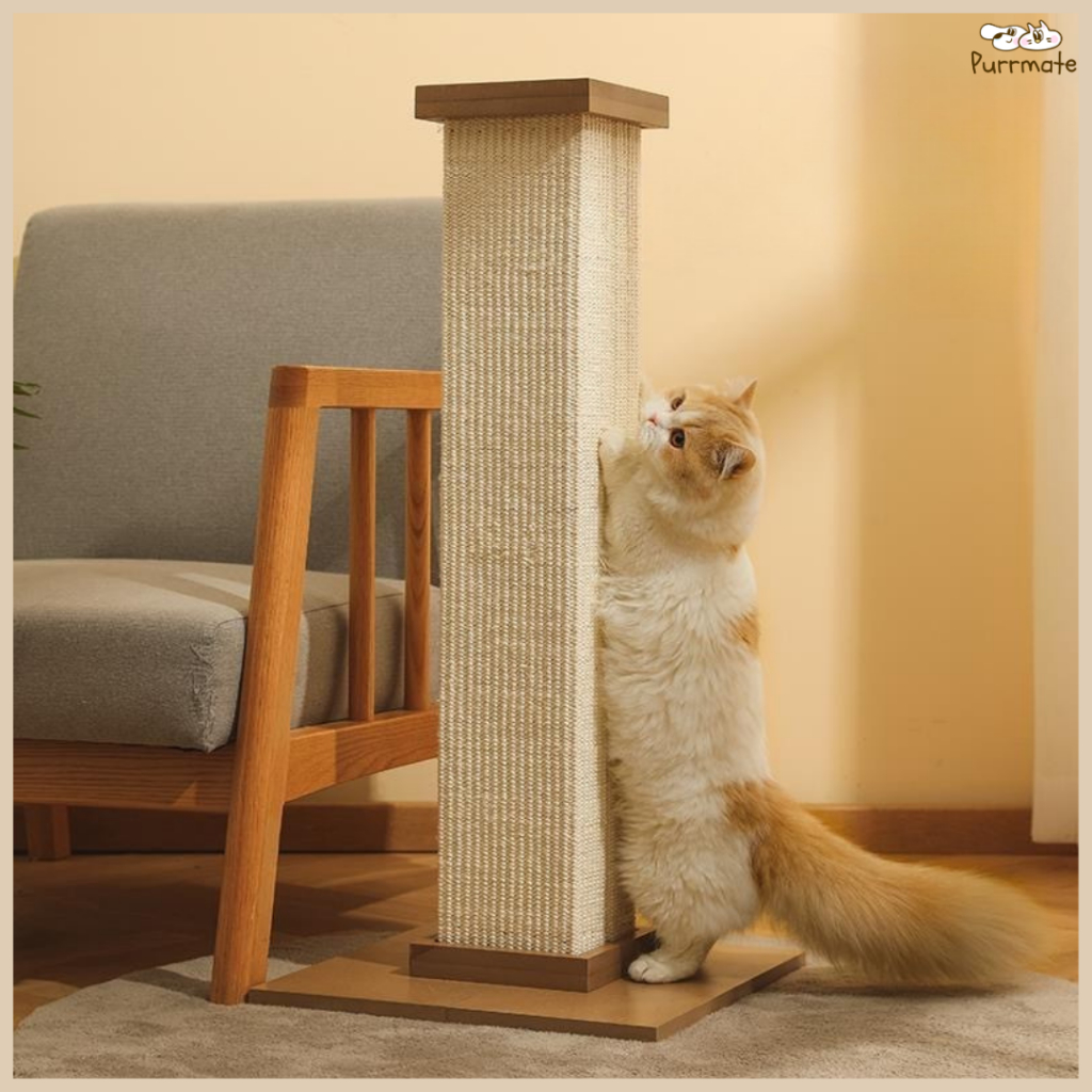 ที่ฝนเล็บตั้งพื้น  เสาลับเล็บแมว ที่ลับเล็บแมว ที่ข่วนเล็บแมว ที่ขูดเล็บแมว Cat Scratch