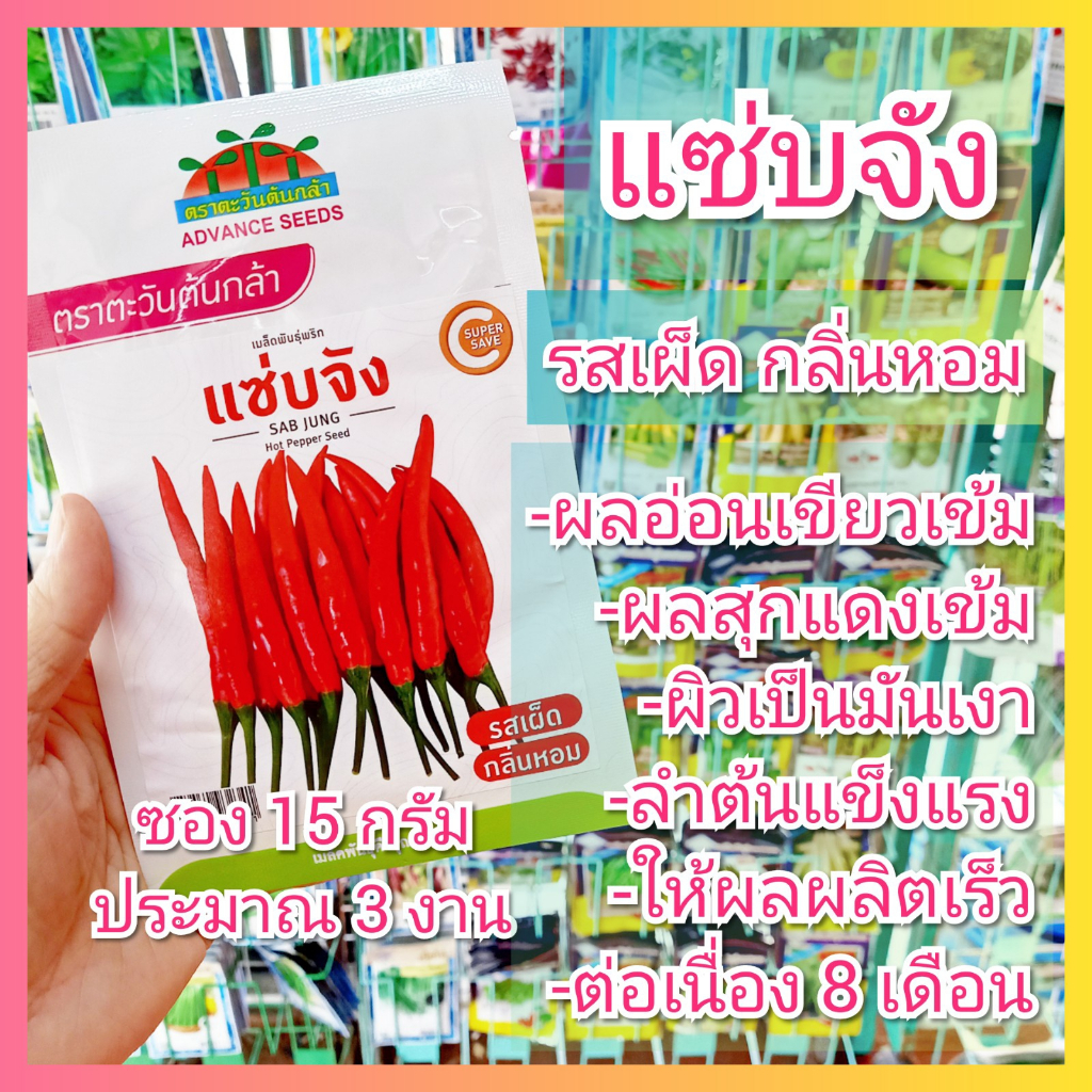 เมล็ดพันธุ์พริก แซ่บจัง ตราตะวันต้นกล้า ซอง 15 กรัม พริกขี้หนู เมล็ดพริก