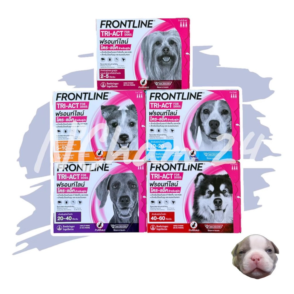 Frontline Tri-Act บรรจุ 3 หลอด ยาหยดป้องกันและกำจัดยุง เห็บ หมัด และแมงวันคอก สำหรับสุนัข 1 กล่อง