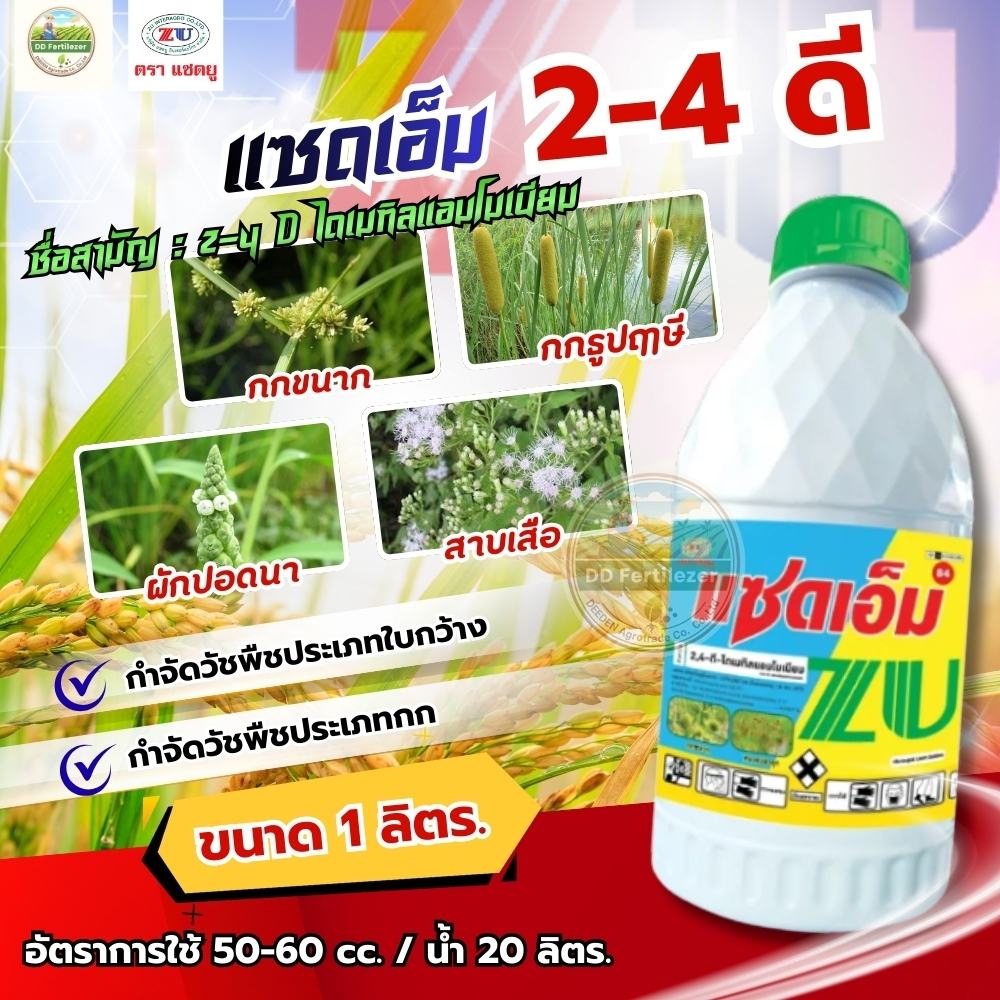 #แซดเอ็ม 84% ขนาด 1 ลิตร 2-4 D ไดเมทิลแอมโมเนียม 84% สารกำจัด ใบกว้าง ผักบุ้ง #แซดยู และวัชพืชประเภท