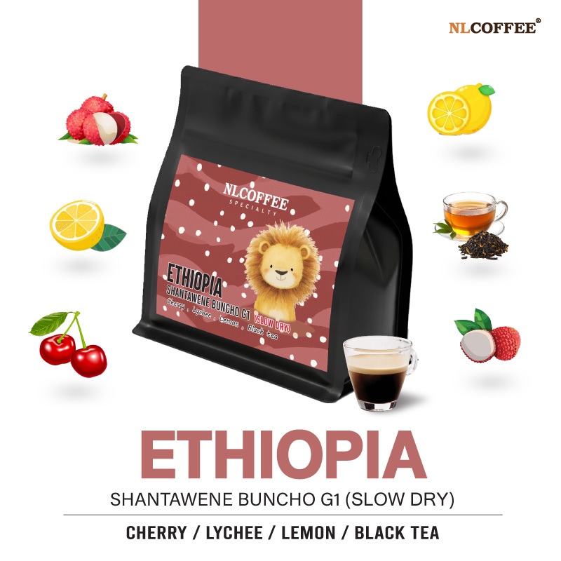 ์NLCOFFEE เมล็ดกาแฟ Ethiopia Sidama Buncho G1 (Natural Slow Dry)