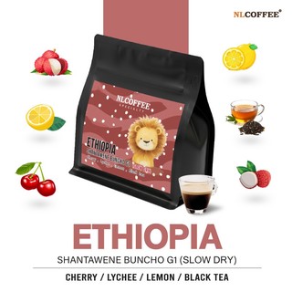 NLCOFFEE เมล็ดกาแฟ Ethiopia Sidama Buncho G1 (Natural Slow Dry)