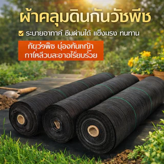 พลาสติกคลุมดิน ผ้าคลุมดิน พลาสติกคลุมหญ้า ฆ่าหญ้า 50 เมตร 100 เมตร คลุมวัชพืช ผ้าคลุมหญ้า กําจัดหญ้า【ผ้าป้องกันวัชพืช】