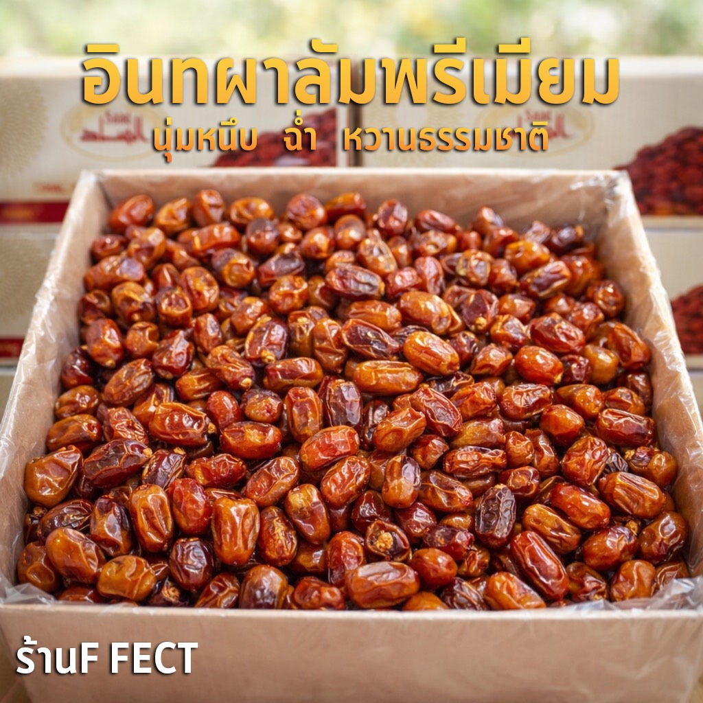 อินทผาลัม อบแห้ง 5 กิโล 10 กิโล มีเม็ดไร้ก้าน สายพันธ์ุ Deglet Nour ผลไม้อบแห้ง