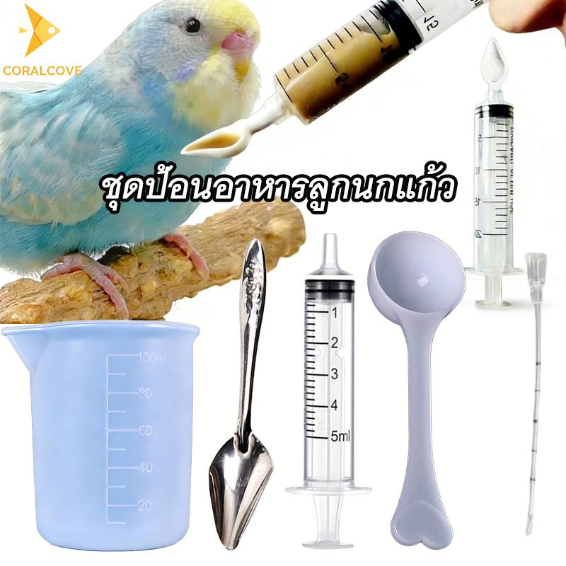 coralcoveshop ชุดป้อนอาหารลูกนก 4-5 ชิ้น 5/20ml กระบอกฉีด+สายอ่อน+ถ้วยตวง สำหรับนกแก้ว ฟอพัส