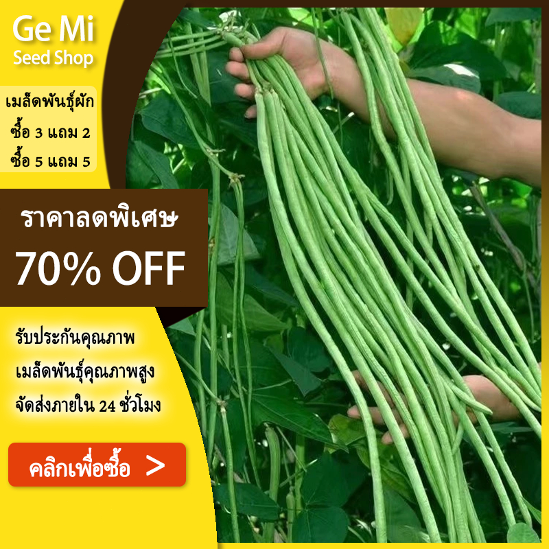 GEMI ถั่วฝักยาวพันธุ์เนื้อหนา ส่งฟรี 🔥 ลดราคา เนื้อหนา - น้ำหนักดี - บรรจุ 45 เมล็ด/ถุง ซื้อ 5 แถม 5