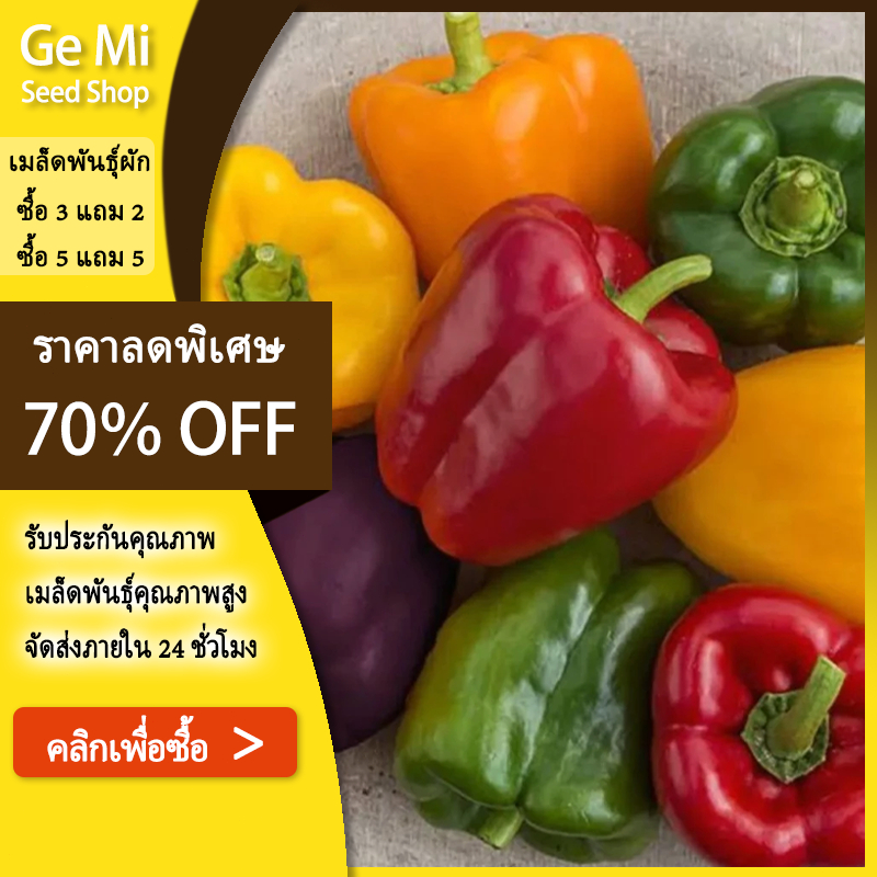 GEMI 100 เมล็ด พริกหวานคละสี เมล็ดพริกหวานคละสี พริกหวานสีม่วง พริกหวานสีเหลือง