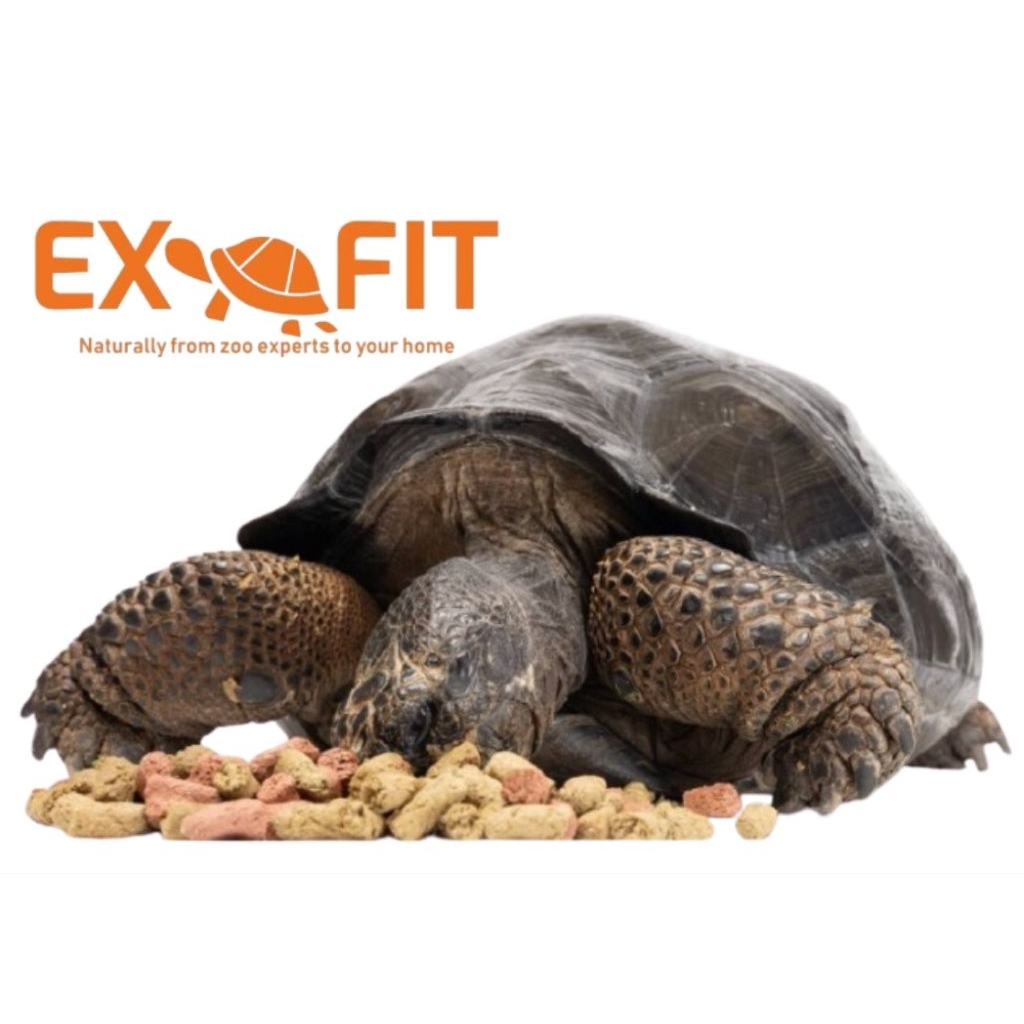Exofit Tortoise Food + Beta Glucan ขนาด 1 กก.